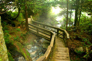 Misty Boardwalk at Hot Springs Cove