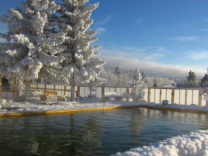 Takhini Hot Springs Pools With Snowy Trees